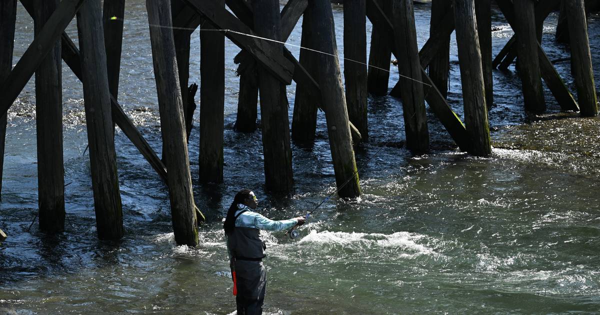 With few exceptions, Southcentral Alaska’s coho salmon run is sluggish