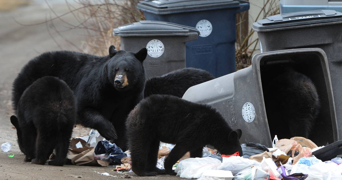 The charge to pick up extra garbage bags has gone up for many Anchorage  residents