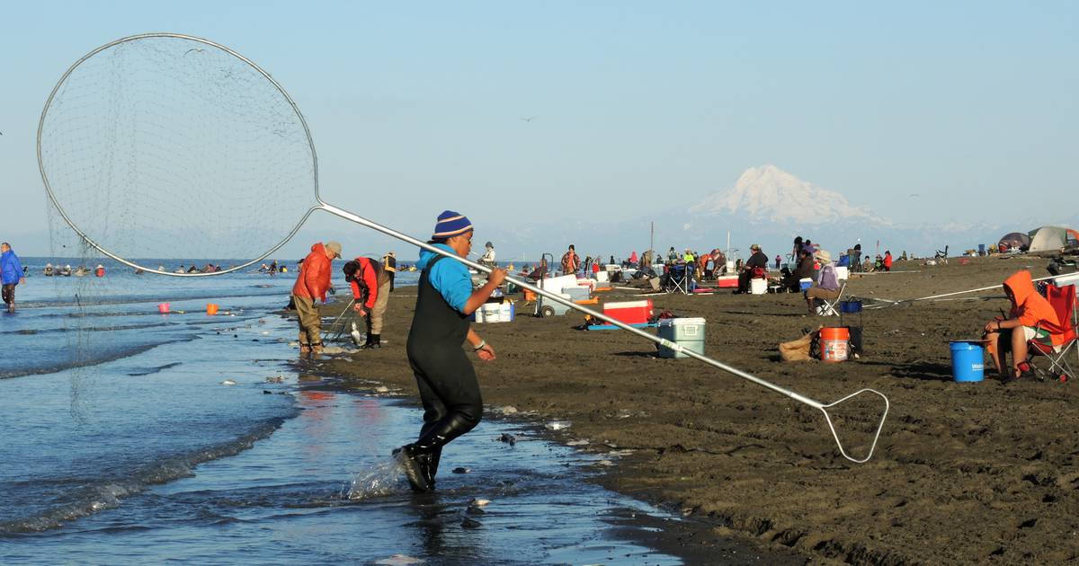 Dip-netting open on Kasilof, Kenai Rivers - Alaska Public Media