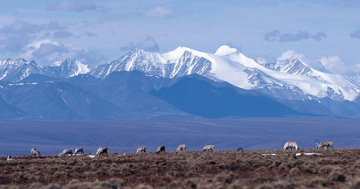 Another oil company backs out of leases in Alaska’s Arctic National Wildlife Refuge
