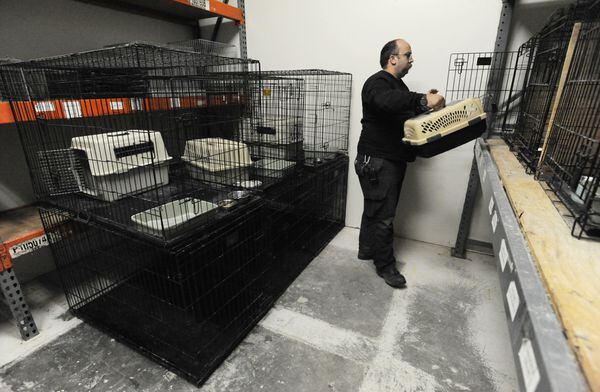 Rising Numbers Of Feral Cats Challenge Mat Su Shelters And