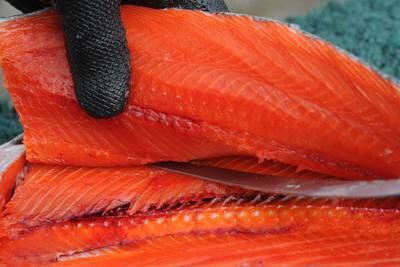Studies show there are likely more ‘sushi worms’ in Alaska salmon and other fish than there used to be