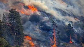 A tanker plane crash has killed a firefighting pilot in Oregon as Western wildfires spread