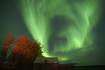 At least 17 U.S. states are likely to see northern lights Thursday night