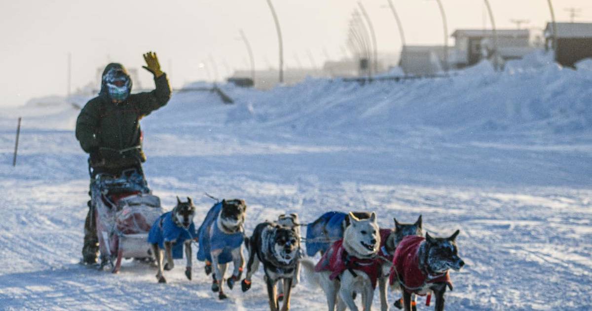 Jessie Holmes wins Kobuk 440 ‘It made the Iditarod seem a little bit