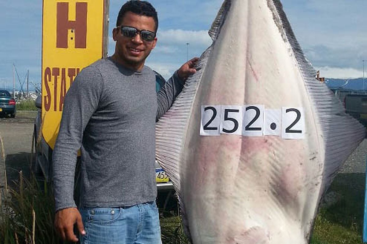 Homer launches halibut derby, hopeful of a return to hefty winners