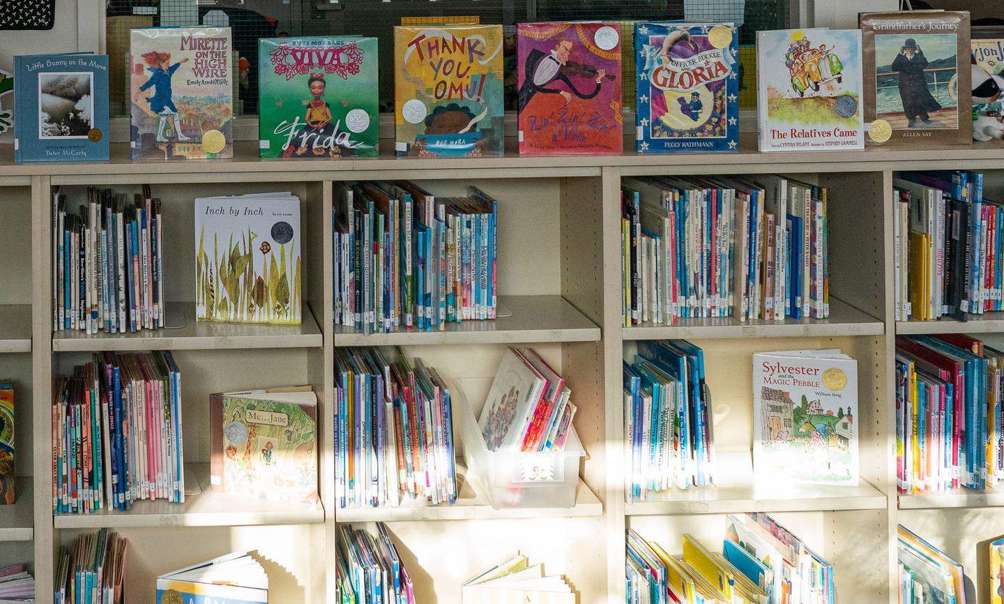 Alaska to launch $5 million state-run reading academy amid skepticism ...
