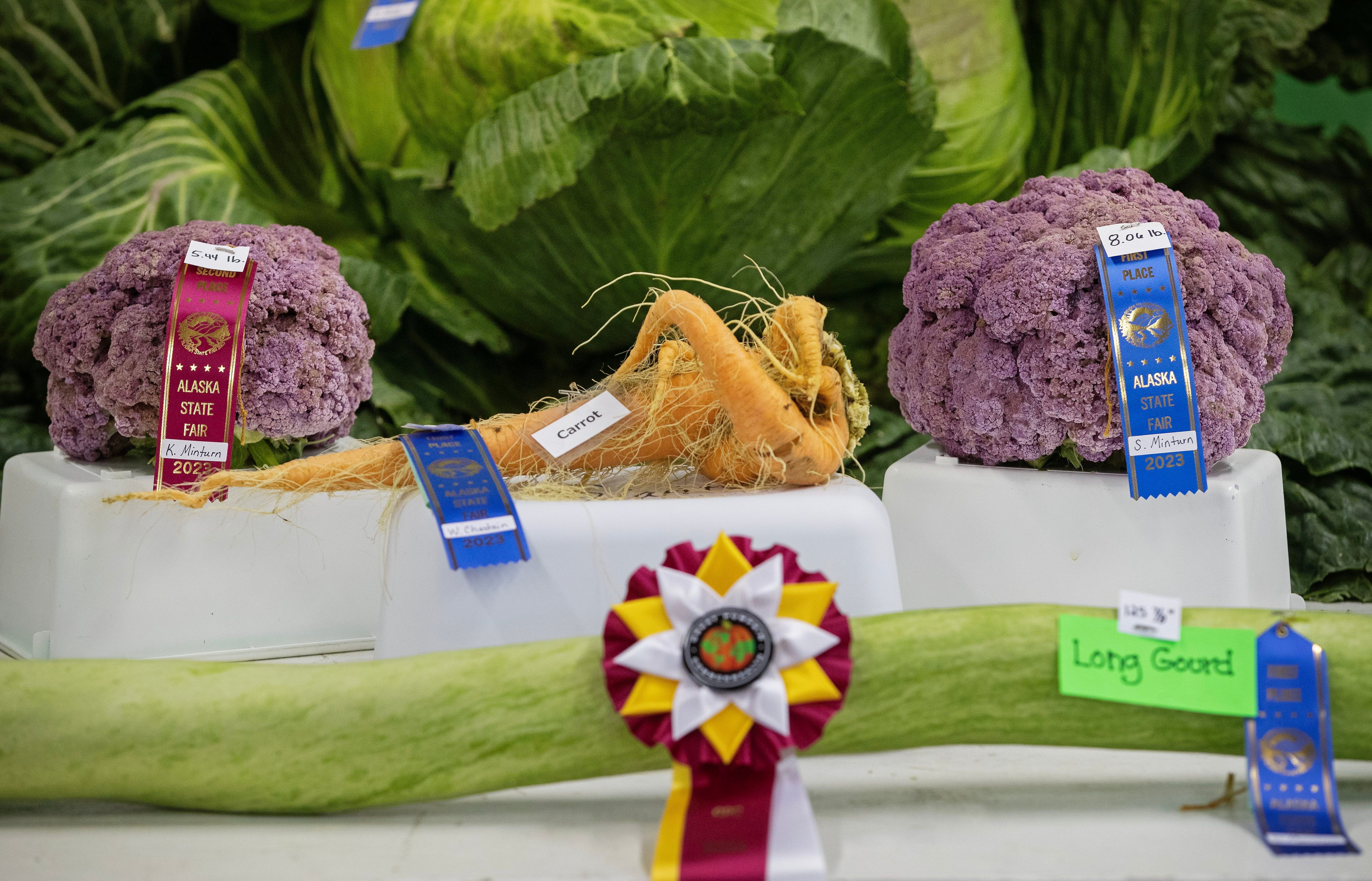 wacky worm - Alaska State Fair