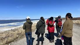 Kotzebue residents spot and sketch birds returning to Arctic