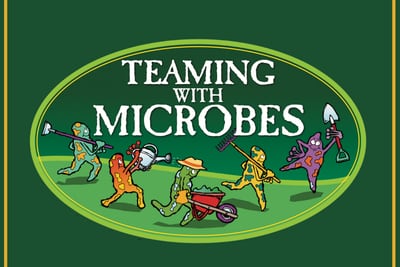 ‘Teaming With Microbes’ podcast: All about chickweed
