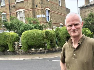 He turns hedges into works of art. One appears on Google Maps (4.7 stars).