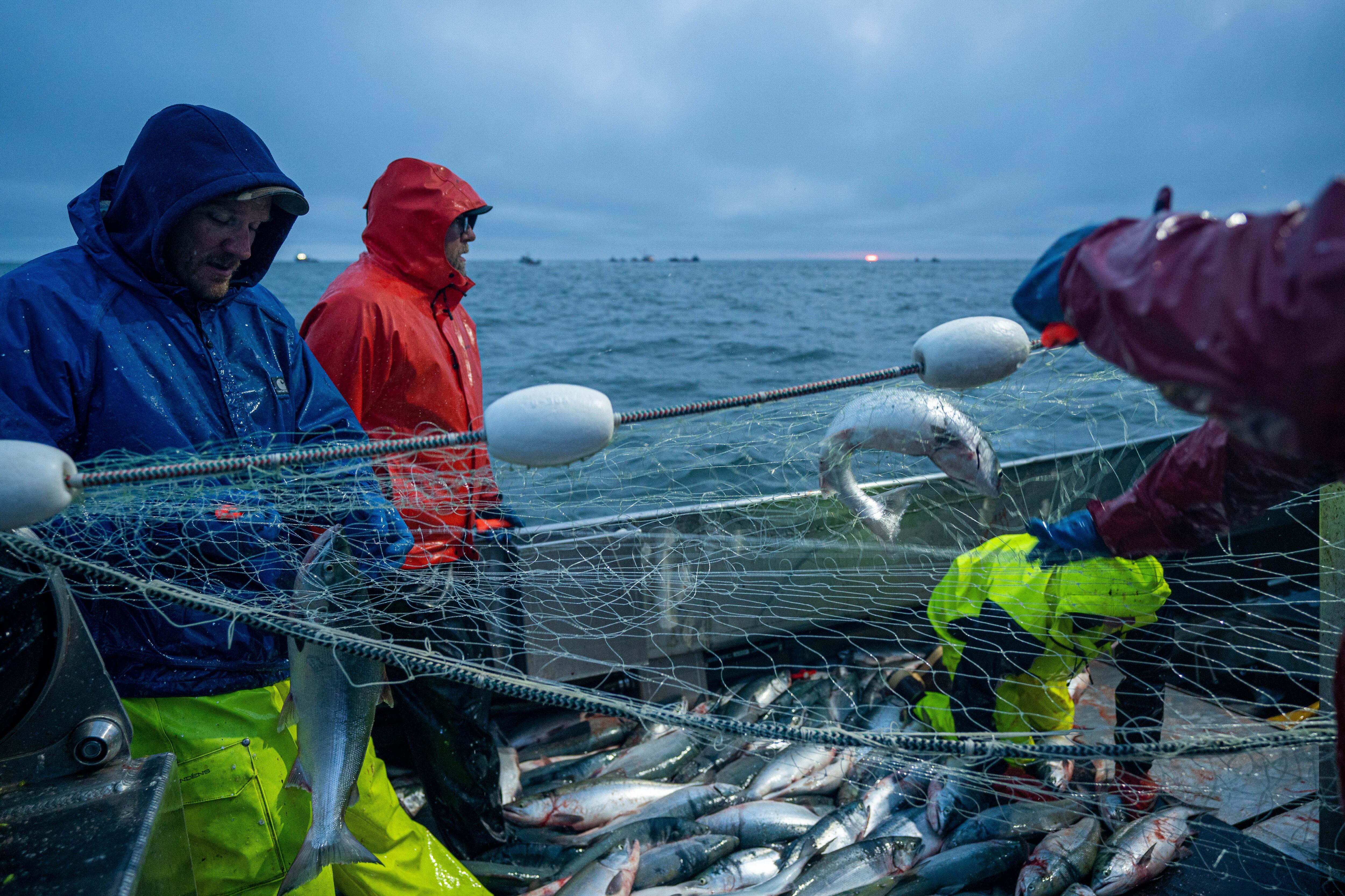 Some Skippers Sticking with Fiberglass on Bristol Bay – Fishermens News