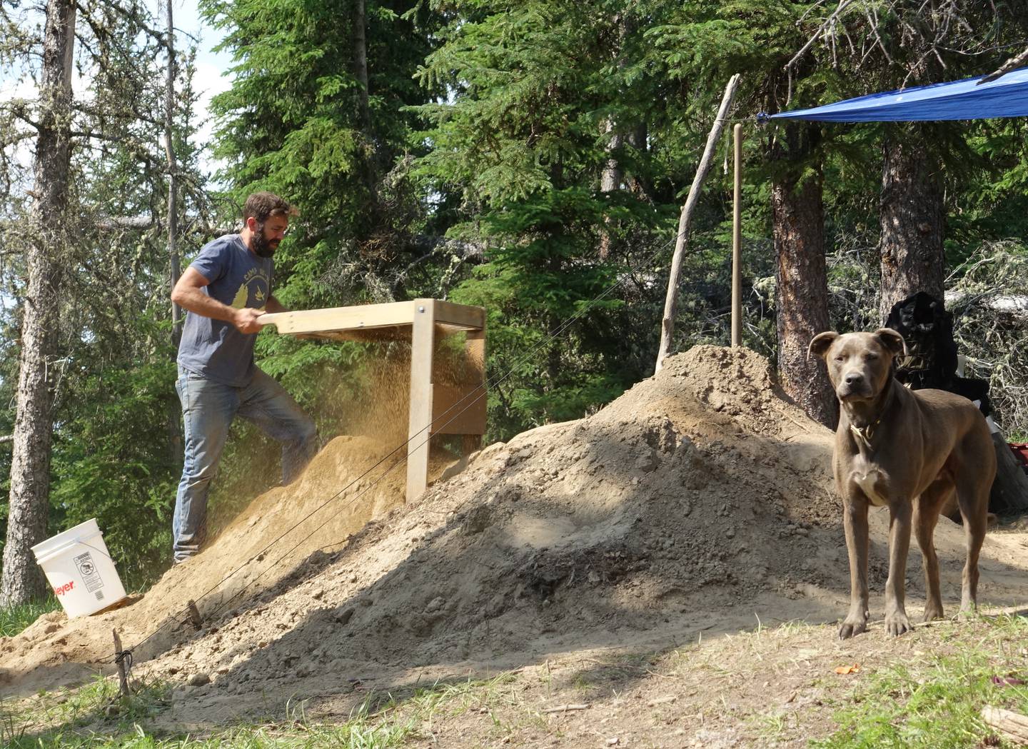 University of Alaska Anchorage archaeologist Gerad Smith sifts through soil troweled from a site on top of Hollembaek Hill in Delta Junction. His dog Blue looks on. (Photo by Ned Rozell)