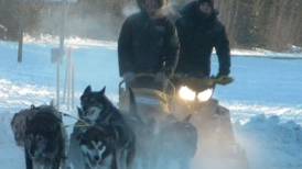 Cold, snow and wind cancel Copper Basin 300 sled dog race