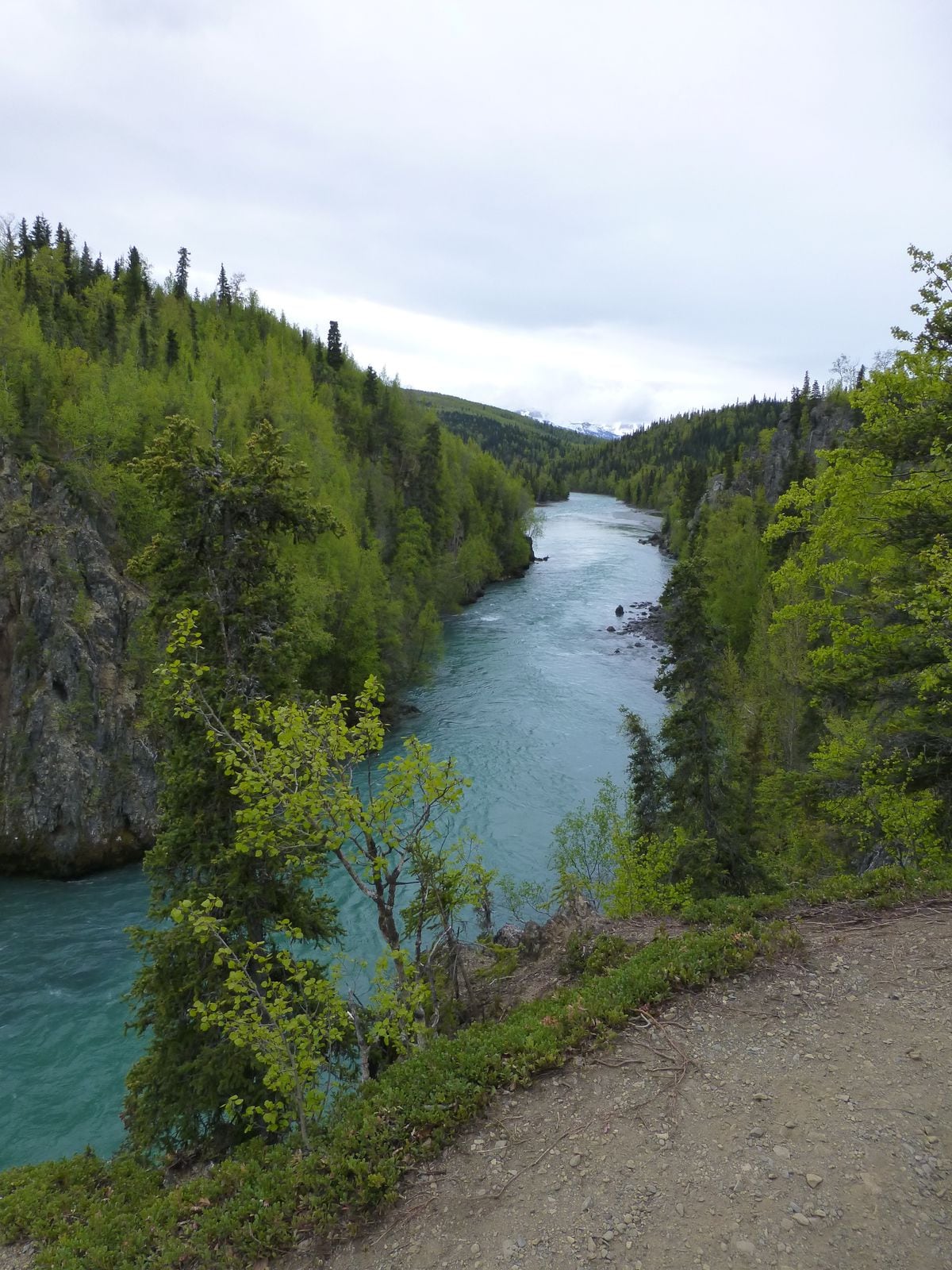 Easy hike offers Kenai River views Anchorage Daily News