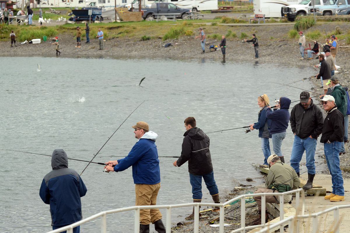 With a surge of salmon, Homer fishing lagoon opening to snagging