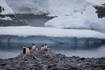 Antarctic temperatures soar 50 degrees above norm in long-lasting heat wave