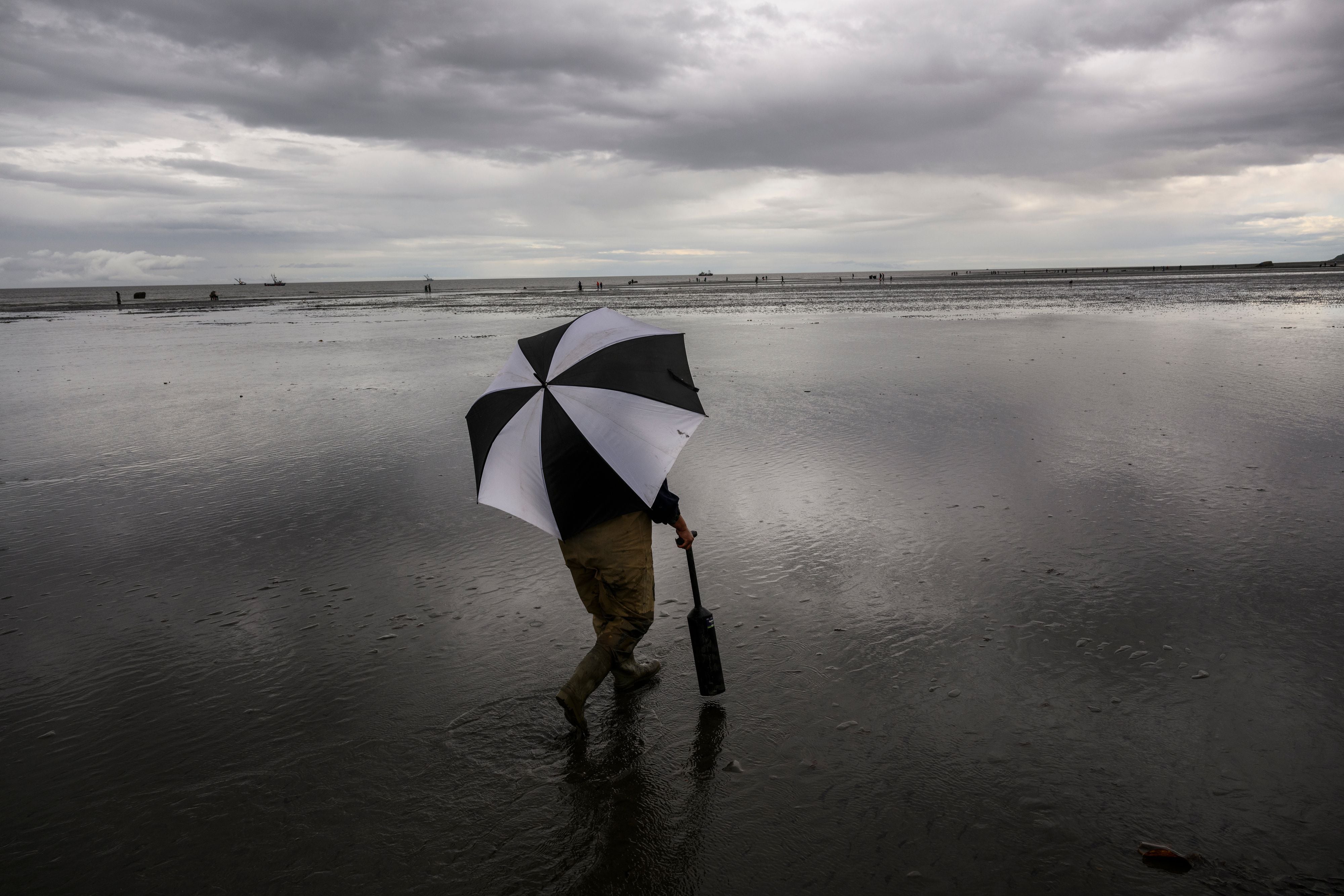 Razor Clam Adventure (NEW) – Wild Food Adventures