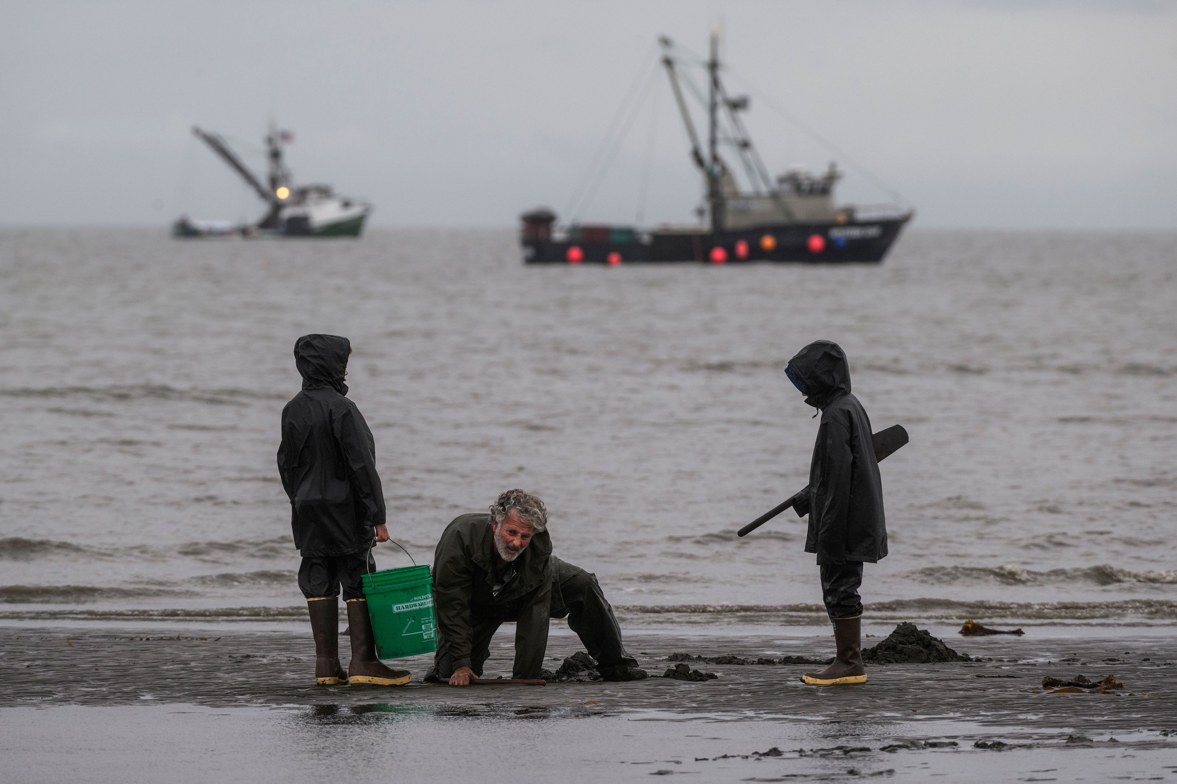 Counting clams: Fish and Game surveys Cook Inlet beaches with hopes of  reopening to clammers