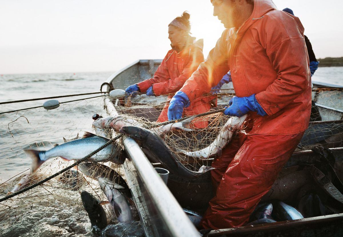 Photos: Capturing a popup town: Corey Arnolds images of Graveyard Point  Anchorage Daily News