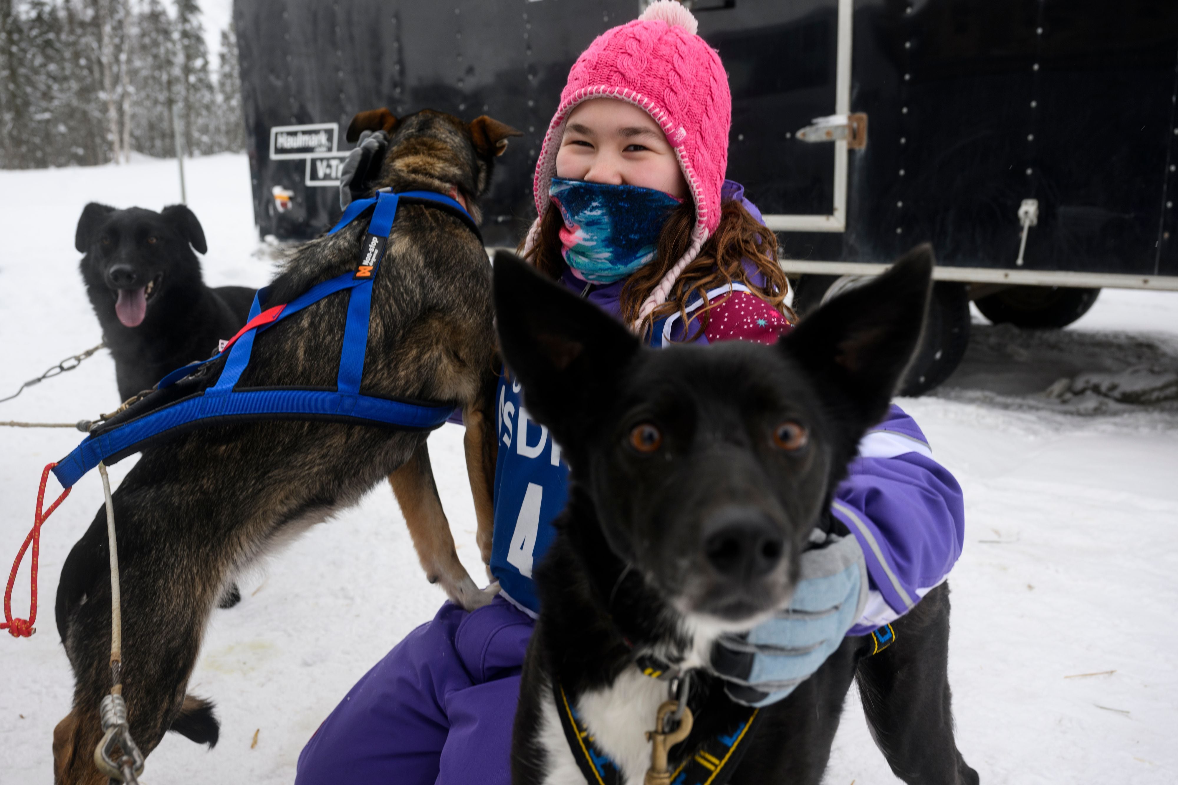 Dundee fifth-grade musher competes in U.P. dogsled race