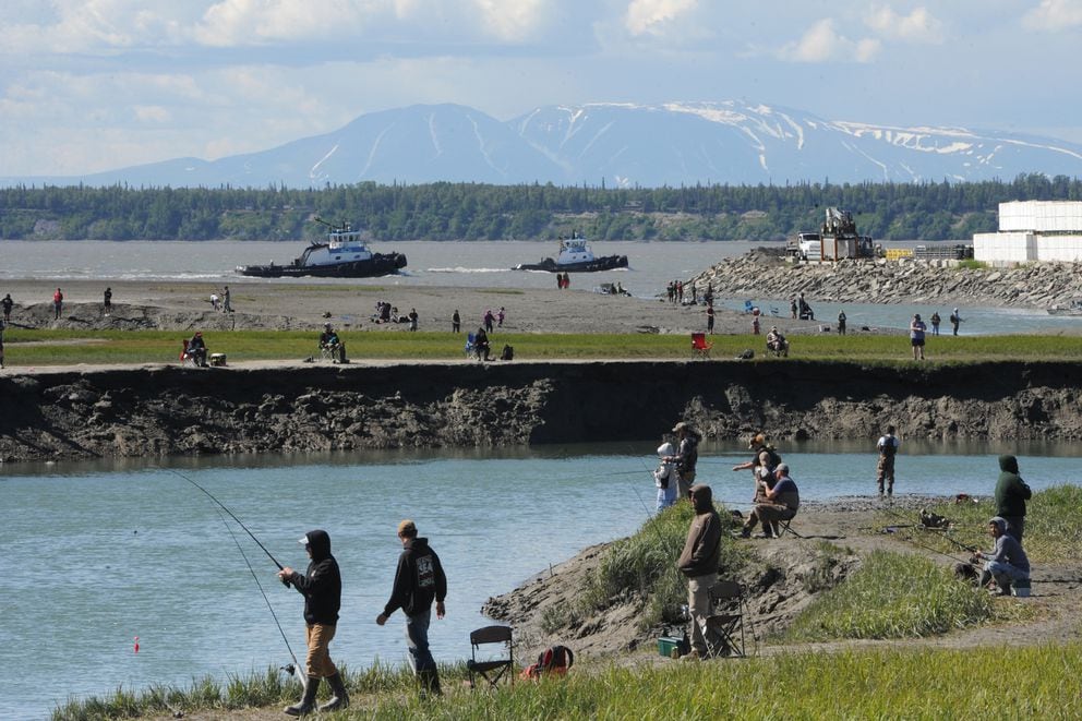 Photos King salmon return to Ship Creek Anchorage Daily News