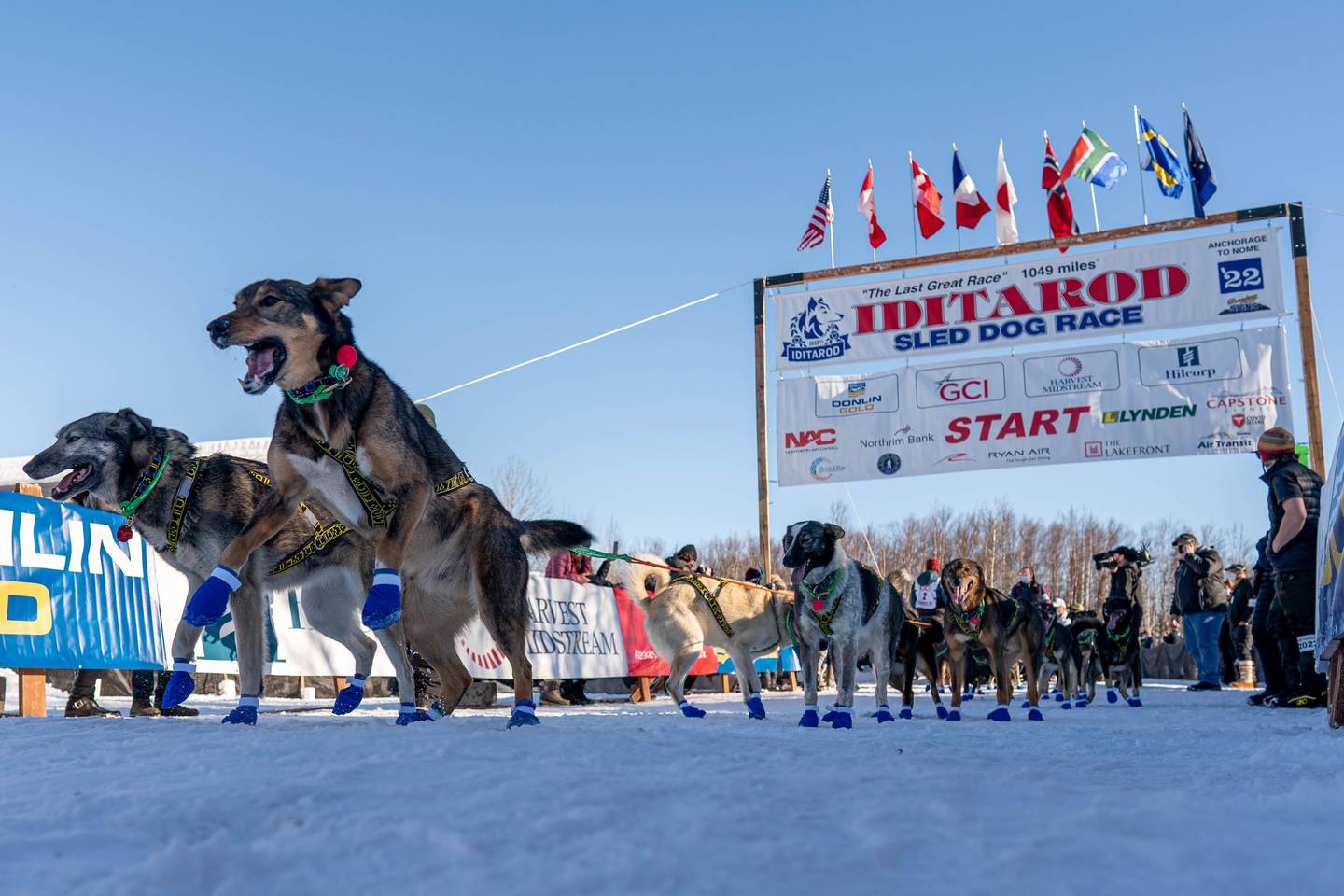 When does the Iditarod start, and who’s competing? What to know ahead