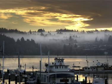 River otter attacks and drags child underwater in Washington state