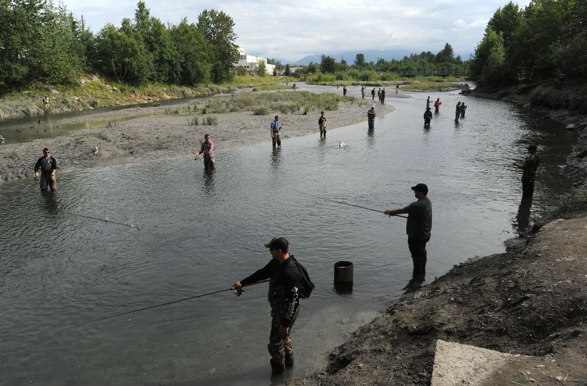 Ship Creek silver salmon limit increased amid surge Anchorage Daily News