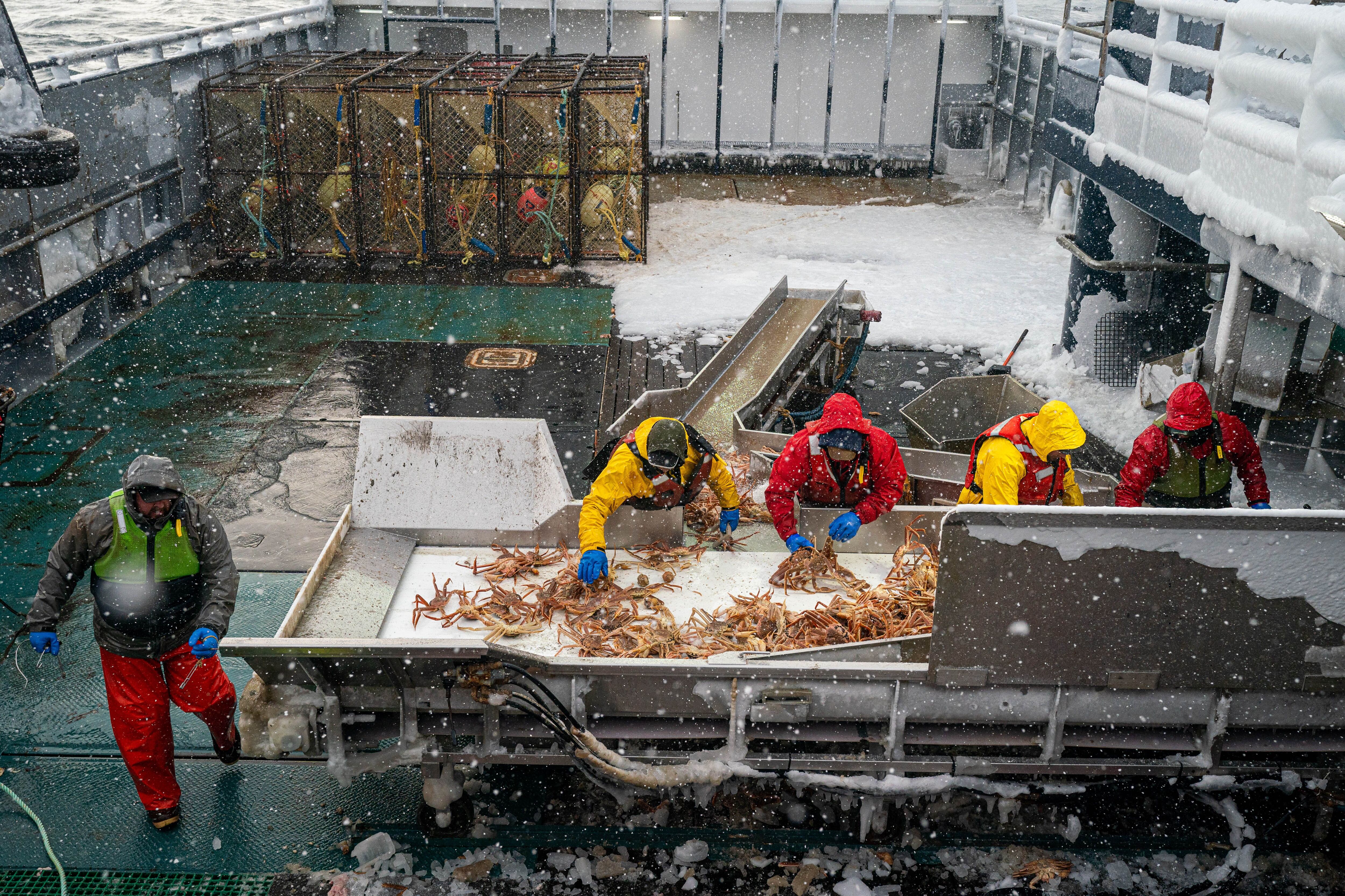 Red Lobster, Pacific Seafoods, High Liner, Cargill ask to meet with Biden  over aquaculture priorities