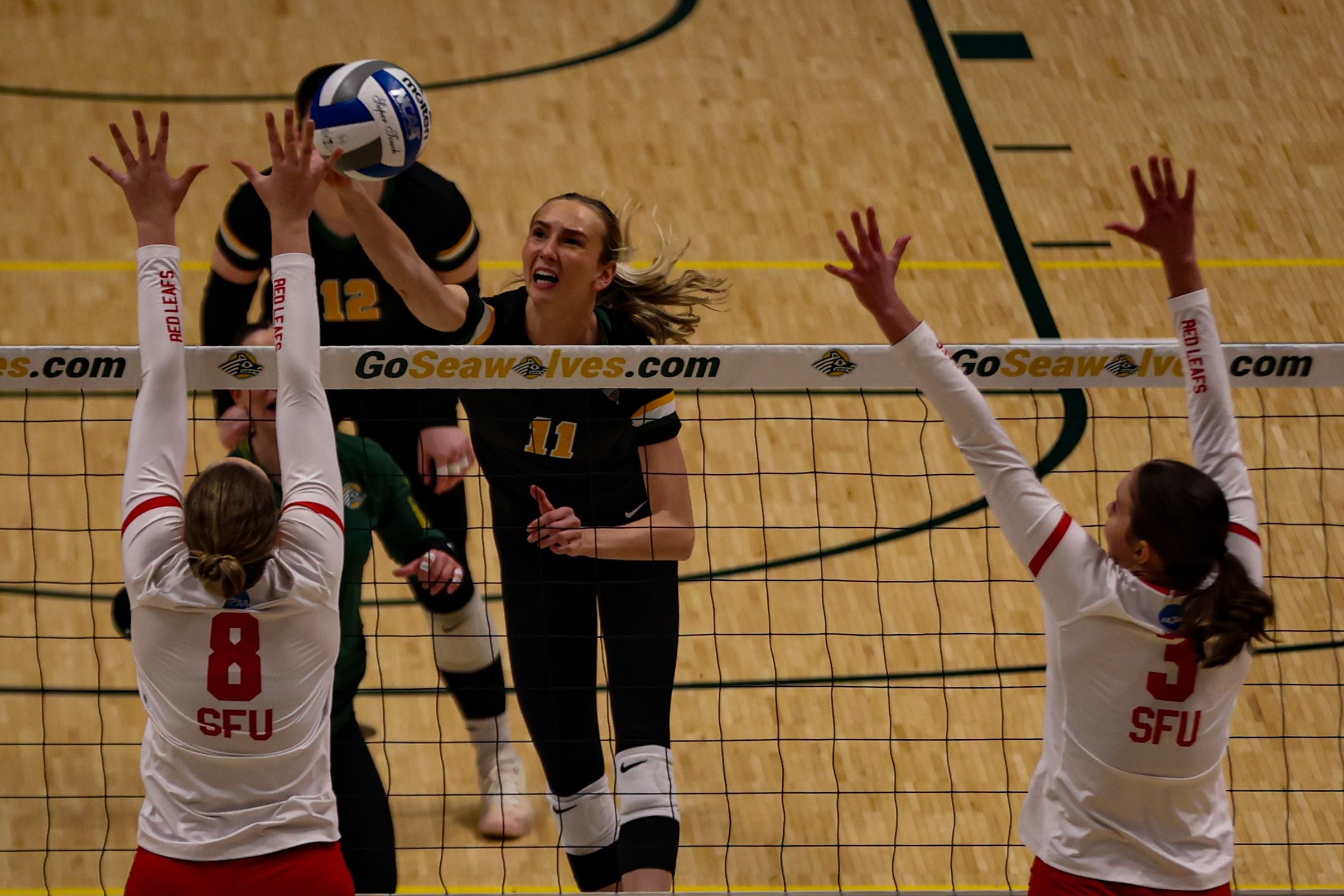 UAA volleyball closes out 2024 season with sweep of Simon Fraser -  Anchorage Daily News