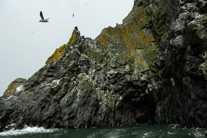 Seabirds nest among columnar basalt formations on St. Matthew Island. In recent years, red-legged kittiwakes were discovered to be nesting at these cliffs, something visiting refuge biologists only discovered during a 2019 visit. (Photo by Nathaniel Wilder)
