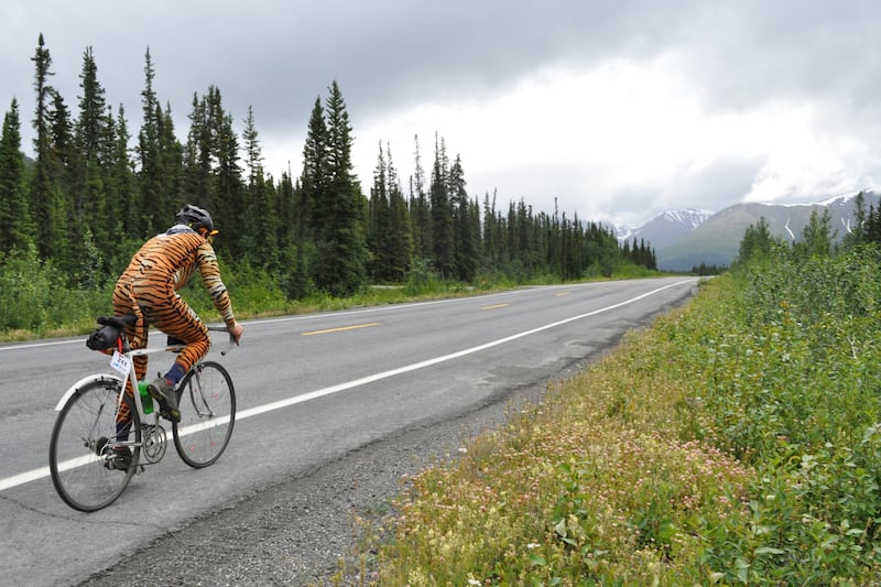 Will Criner, competing in the 200-mile Fireweed bicycle race as part of the "Off The Chain" two-person team, rides along the Richardson Highway in a tiger-print suit on Saturday, July 13, 2024, south of Tonsina. (Vicky Ho / ADN)