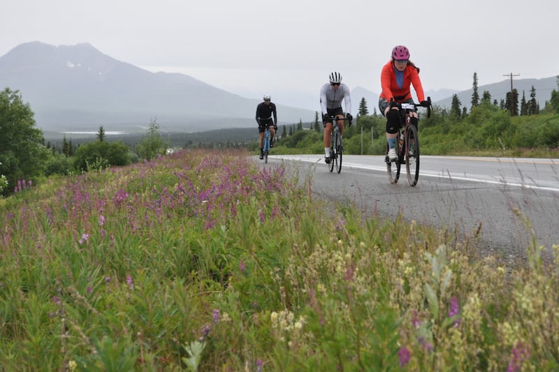 Alex Long, right, riding in the 200-mile Fireweed bike race as part of a two-person team, leads other cyclists on the Glenn Highway approaching Eureka Lodge on Saturday, July 13, 2024, en route to Valdez. (Vicky Ho / ADN)