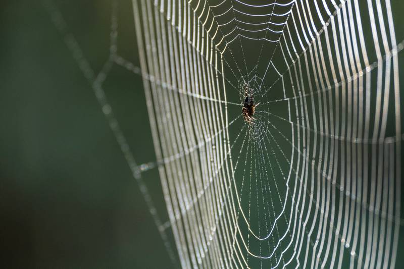 Photos: Best of September 2024