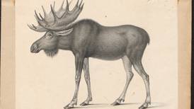 To defend America from faulty scientific speculation, Thomas Jefferson turned to the moose
