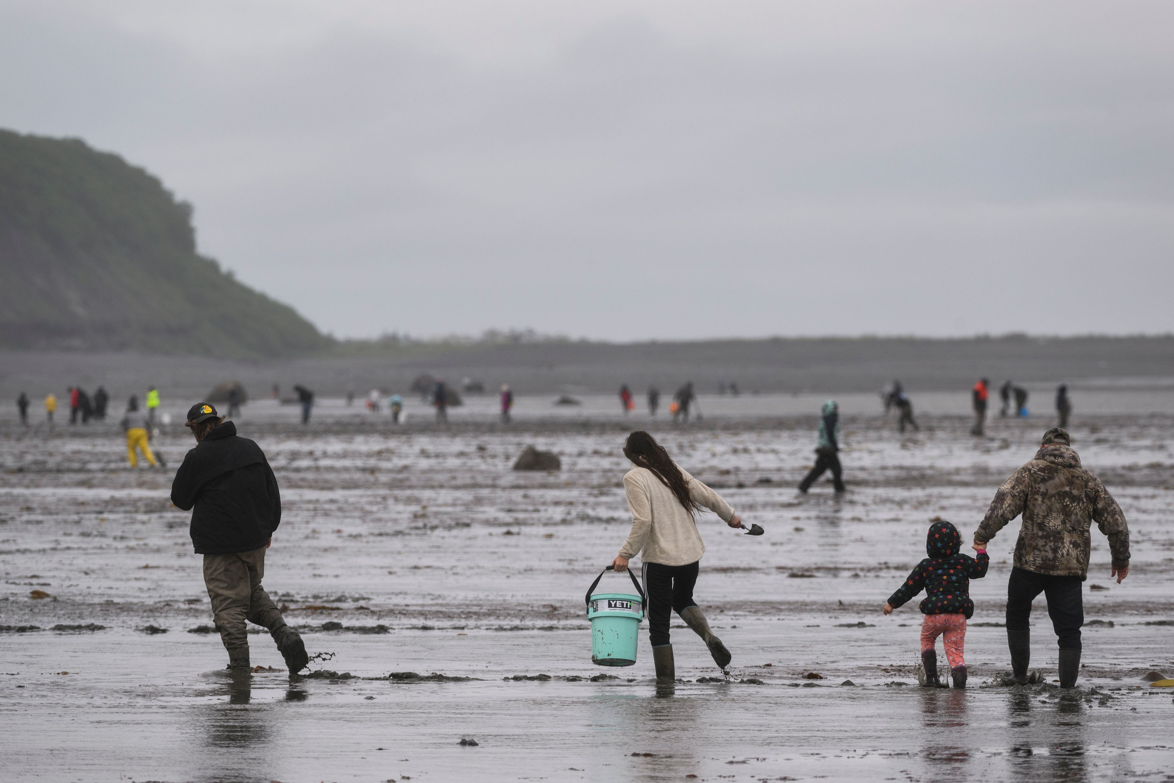 Razor Clam Adventure (NEW) – Wild Food Adventures