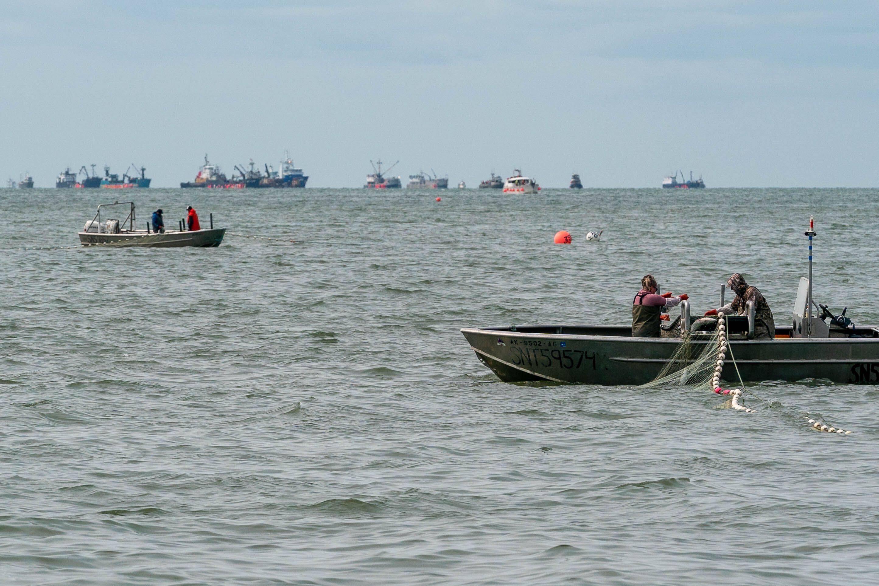 Bristol Bay fishermen fume over low prices, but processors say they're  hurting too - Petersburg Pilot