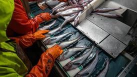 Report: Half of vessels in federally managed Alaska fisheries had observer coverage in 2023
