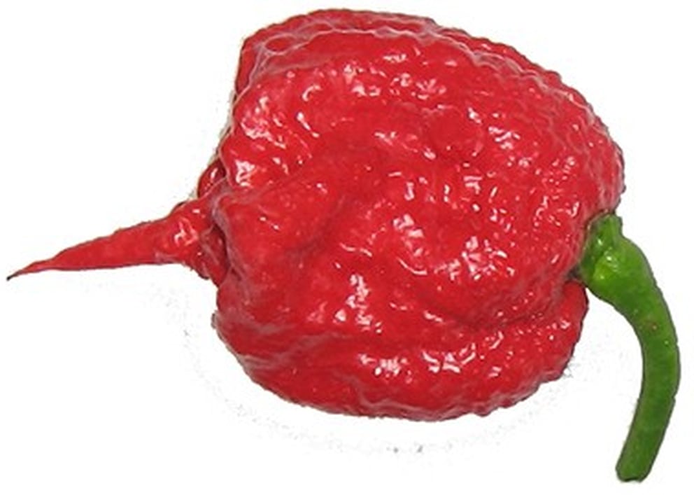 grim reaper pepper