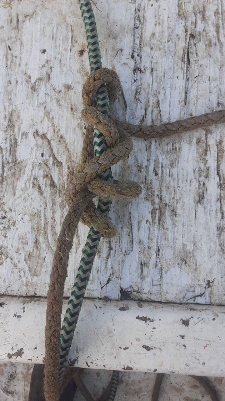 What knot is this? My family builds commercial fishing nets, we've used  this knot for years, but have never found a name for it : r/knots